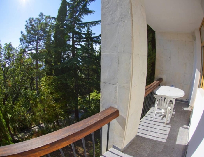 Стандарт 2-местный 1-комнатный ЮГ корпус 2 - Санаторий «Горный» Курпаты