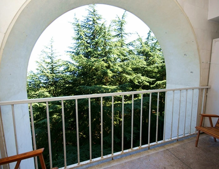 Стандартный 2-местный 1-комнатный ЮГ 4 этаж корпус 5 - Санаторий «Горный» Курпаты