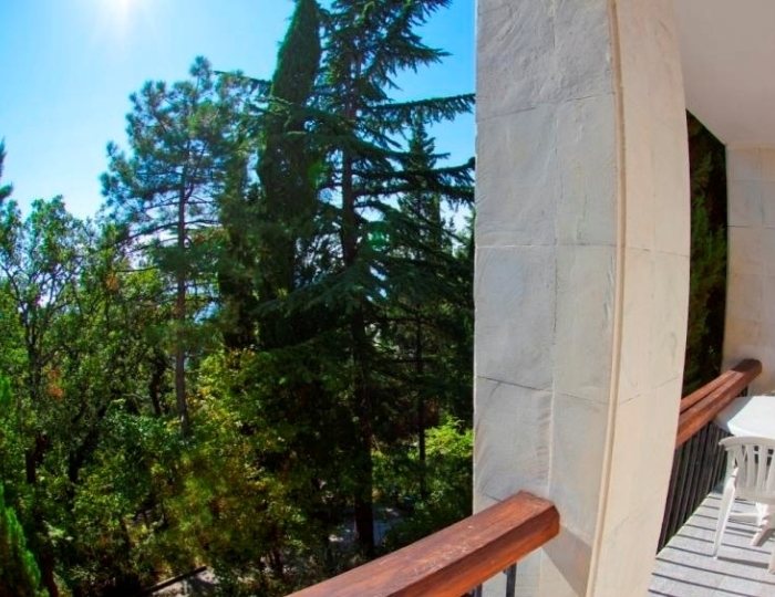 Стандарт 2-местный 2-комнатный ЮГ корпус 2 - Санаторий «Горный» Курпаты