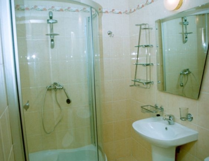 Стандарт 1-местный 1-комнатный СЕВЕР 4 этаж корпус 5 - Санаторий «Горный» Курпаты