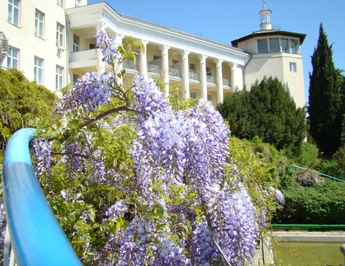 Санаторий «Горный» Курпаты