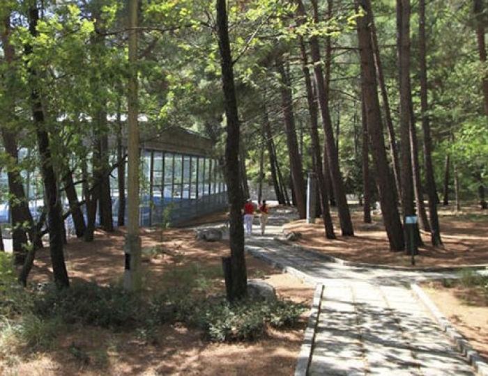 Санаторий «Горный» Курпаты